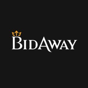 BidAway, la primera web de experiencias que acepta pagos con bitcoins