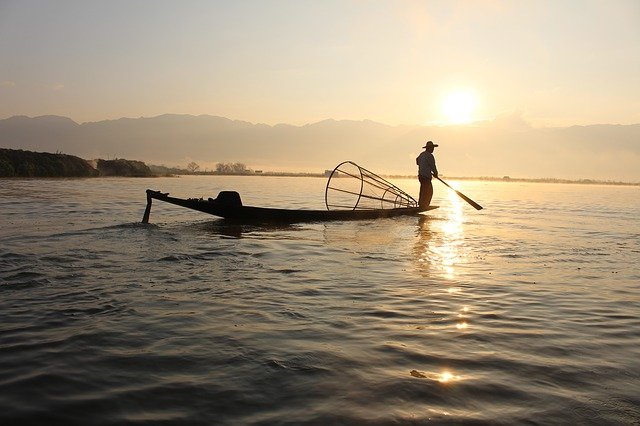 Emprendedores japoneses crean un aparato que detecta cuáles son los pescados más sabrosos