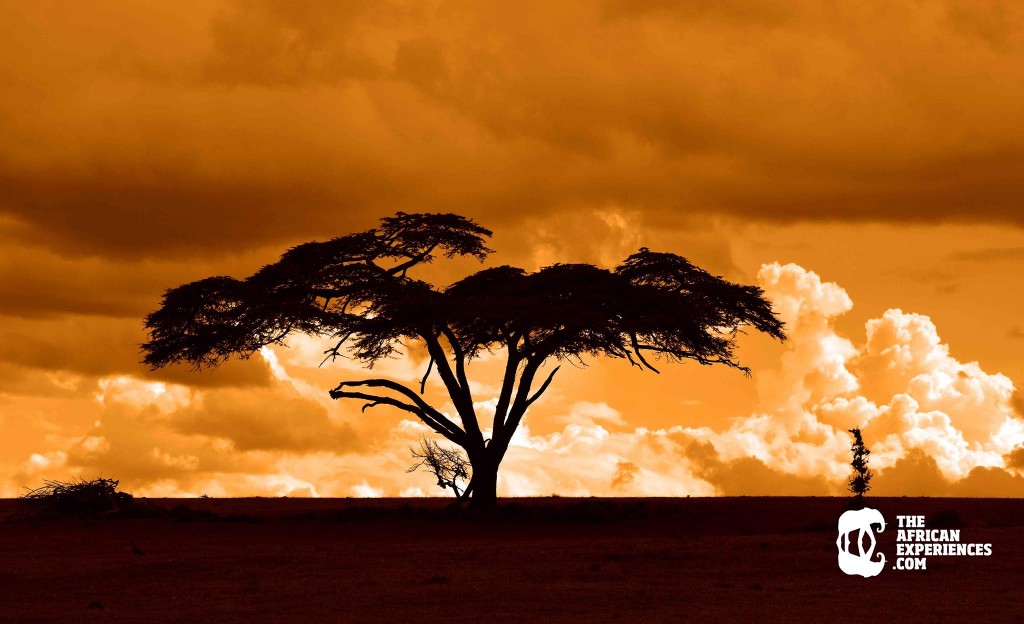 Encuentra inspiración para emprender realizando un viaje por Kenia