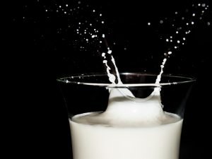 ¿Cuál es la temperatura ideal para la producción de lácteos?
