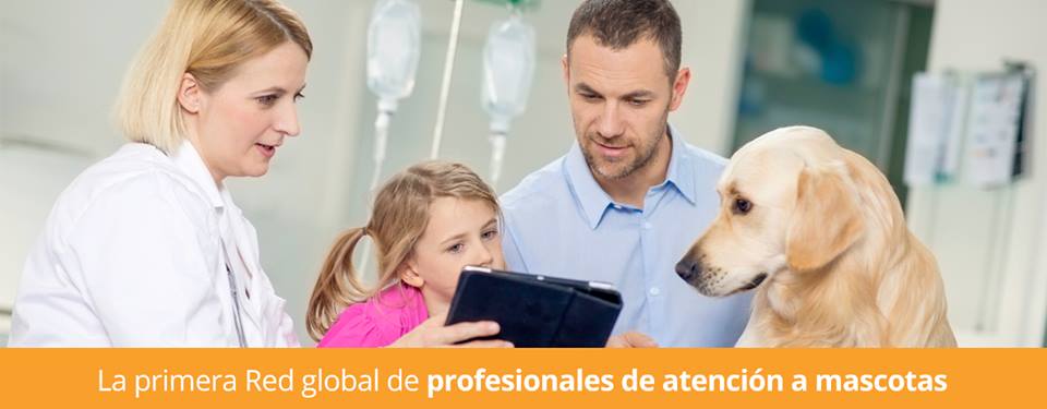 Emprendedores españoles crean PetsLoverIn, la primera red global de atención a mascotas
