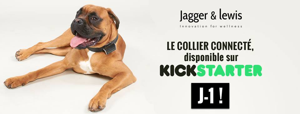 La empresa Jagger & Lewis recauda más de 56.000 dólares con un dispositivo inteligente para perros