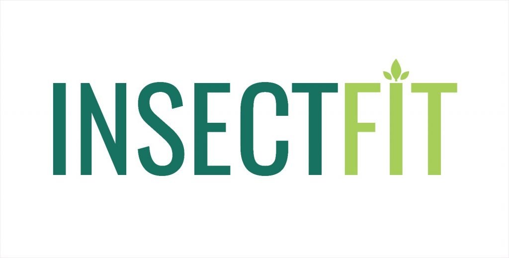 INSECTFIT, un proyecto que introduce el consumo de insectos en la dieta de los españoles