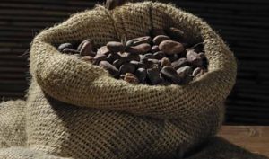 Proveedores de cacao: soluciones de cacao para bares