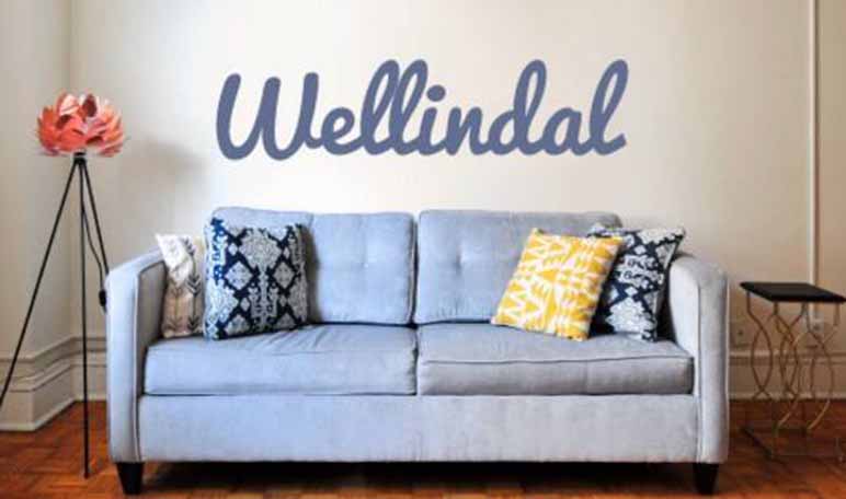 Wellindal, un ecommerce de hogar y jardín que ha cerrado una ronda de más de 2 millones
