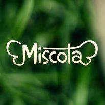 Miscota, un portal de referencia con un beneficio de 250.000 euros mensuales