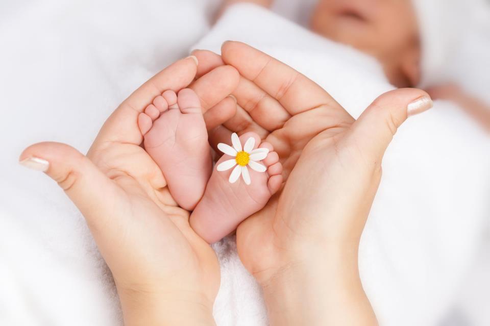 Lainfertilidad.com, todo sobre la reproducción asistida