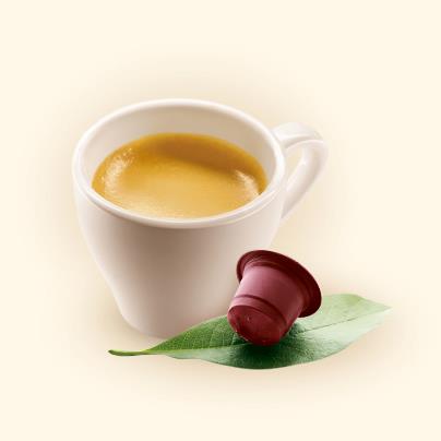 Buencafe.es, cápsulas de café sostenibles y compatibles con Nespresso