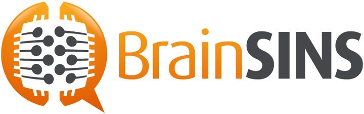 BrainSINS, todo lo que necesitas para sacar el máximo provecho a tu tienda on-line