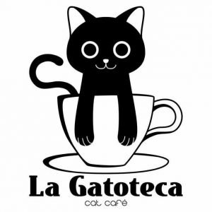 ¿Buscas proyectos originales? Abre un Cat Café, ¡una cafetería felina!