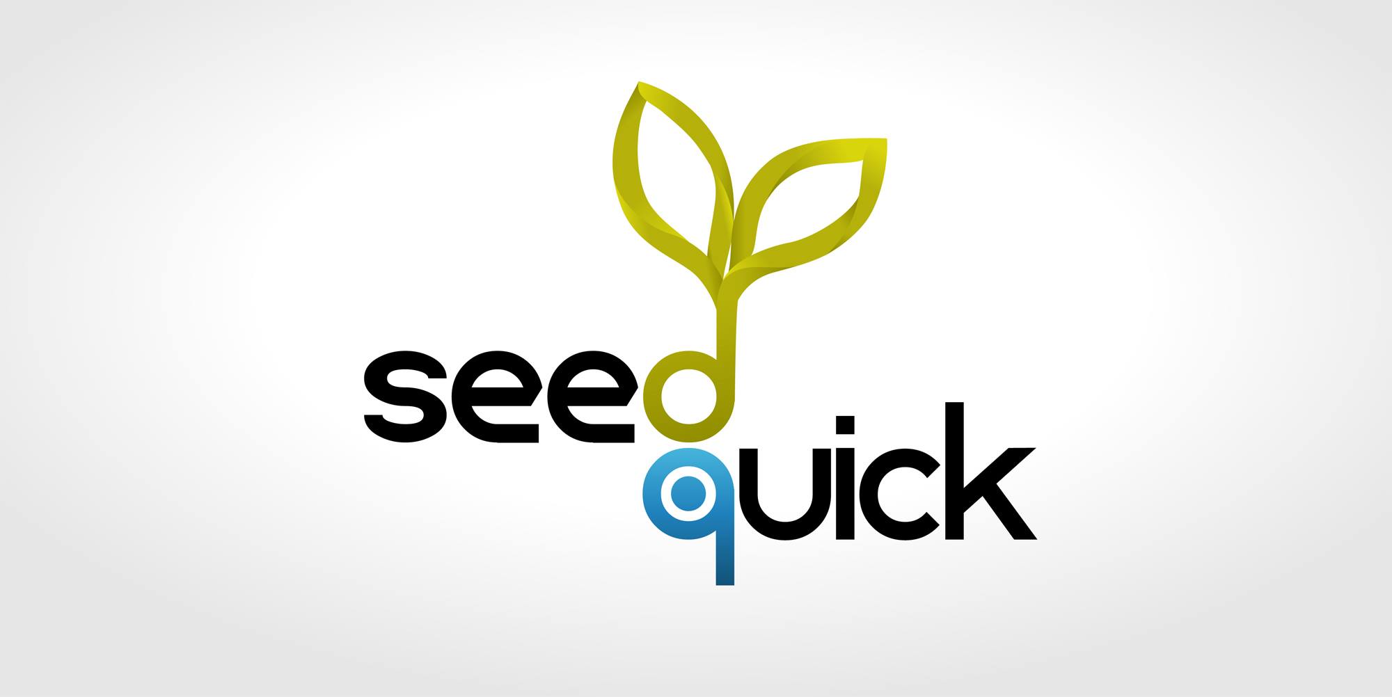 Seedquick, la primera red de crowdfunding para emprendedores y empresas