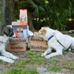 Gana 15 millones creando cajas de suscripción para mascotas como las de BarkBox