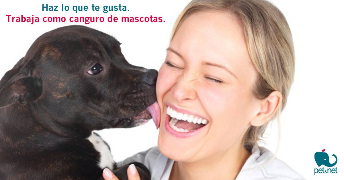 Nace Pet&Net, la primera plataforma de cuidadores de mascotas gratuitos Nace Pet&Net, la primera plataforma de cuidadores de mascotas gratuitos