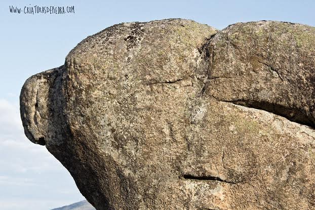 Llega Criaturas de Piedra, un libro con fotografías que estimulan la creatividad