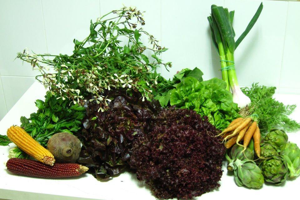 El Ecomercado, un proyecto de agricultura ecológica que recauda más de 6.000 euros El Ecomercado, un proyecto de agricultura ecológica que recauda más de 6.000 euros