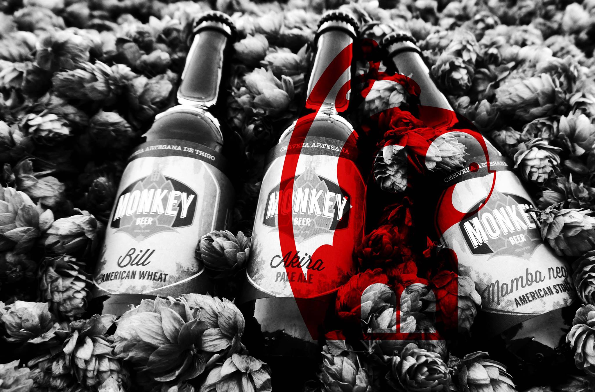 Cervezas Monkey, una cerveza artesana creada por emprendedores españoles Cervezas Monkey, una empresa de cerveza artesana creada por emprendedores españoles