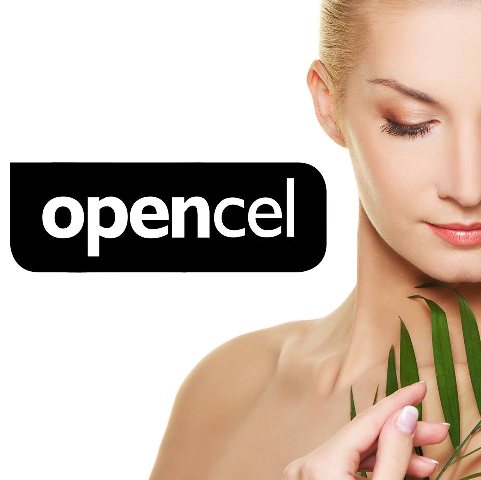 La franquicia Opencel prepara una fuerte campaña de expansión La franquicia Opencel prepara una fuerte campaña de expansión
