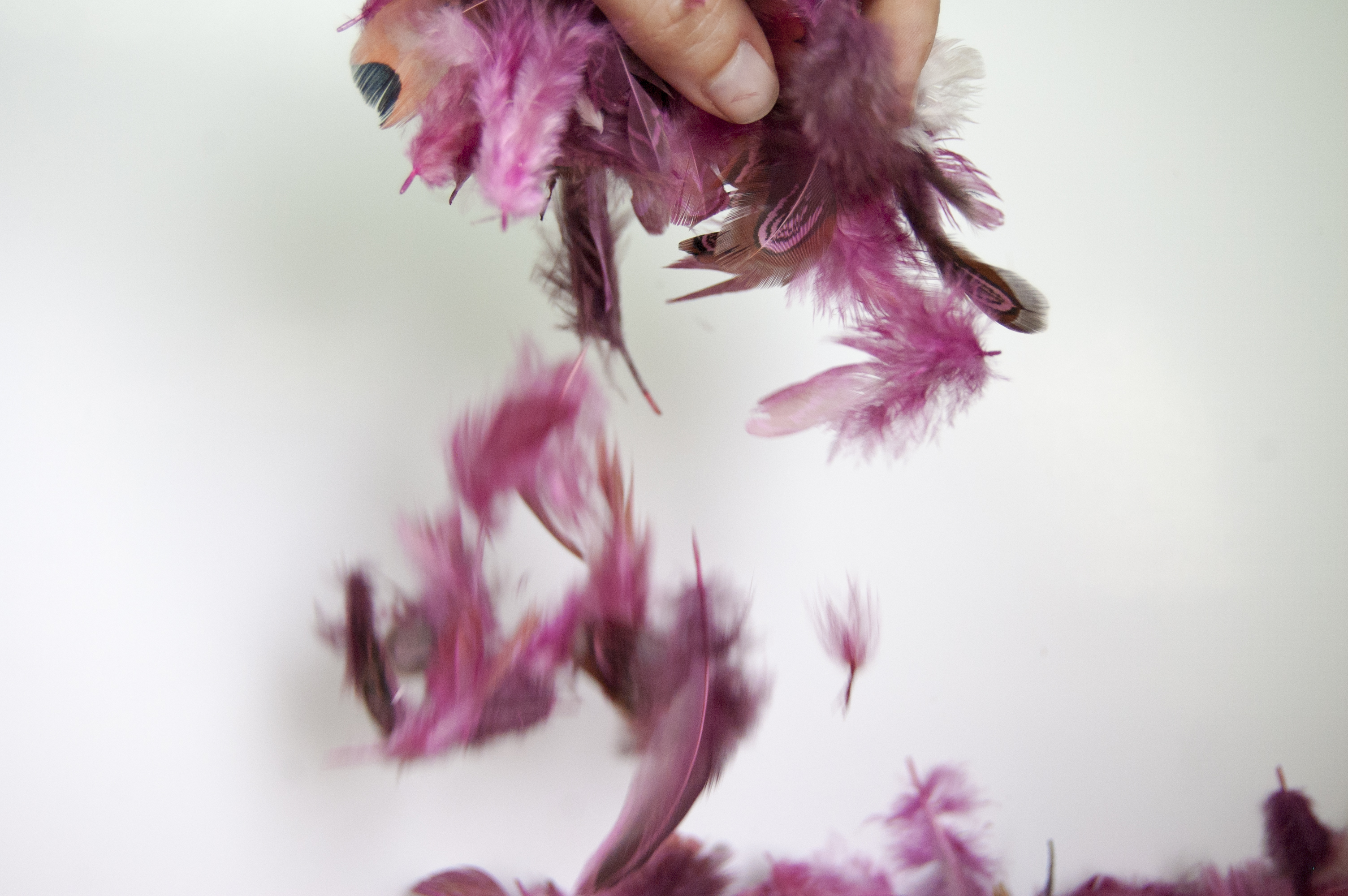 Llega Piumarela, una firma de moda donde las plumas son las protagonistas Llega Piumarela, una firma de moda donde las plumas son las protagonistas