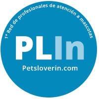 Emprendedores españoles crean PetsLoverIn, la primera red global de atención a mascotas