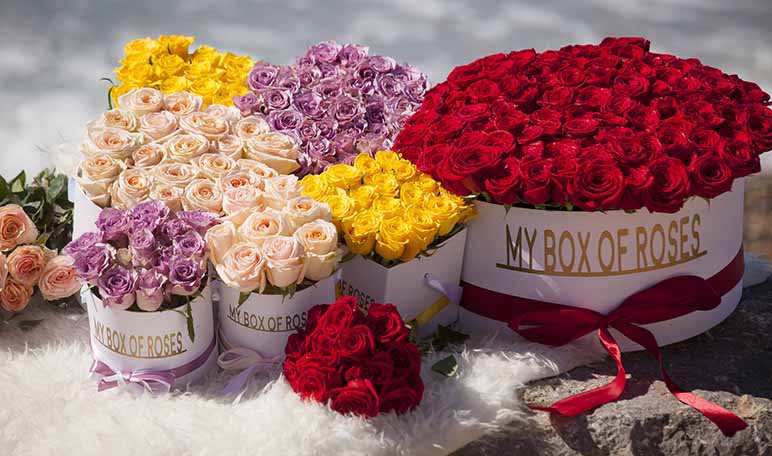 Livia Vaz crea MY BOX OF ROSES, un ecommerce para comprar modernas cajas de rosas