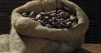 Proveedores de cacao: soluciones de cacao para bares