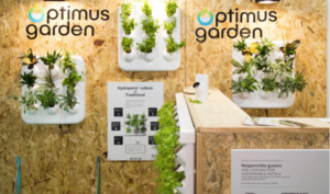 Optimus Garden crea un sistema para cultivar plantas y verduras frescas en cualquier espacio interior - Diario de Emprendedores