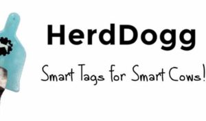 HerdDogg, una etiqueta inteligente que recopila información sobre las vacas para mejorar la producción agrícola - Diario de Emprendedores