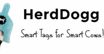 HerdDogg, una etiqueta inteligente que recopila información sobre las vacas para mejorar la producción agrícola - Diario de Emprendedores
