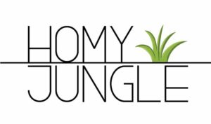 Dos emprendedores crean HOMY JUNGLE, una startup de plantas que se comunican con sus dueños - Diario de Emprendedores