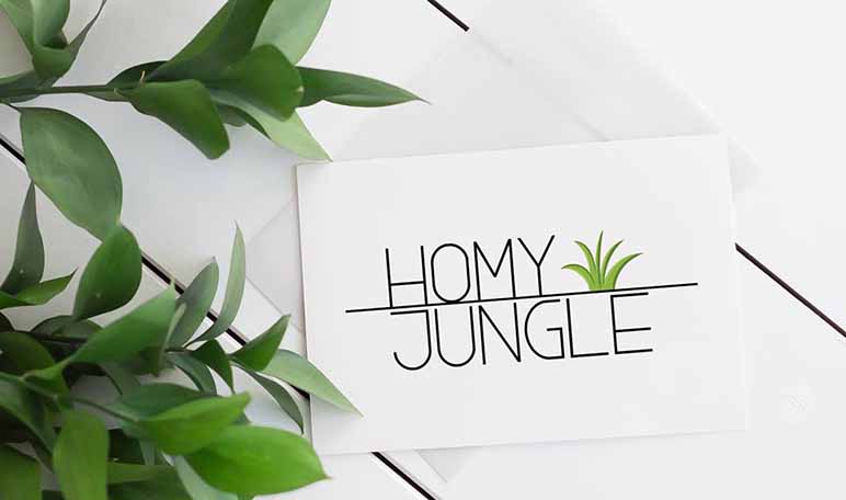 Dos emprendedores crean HOMY JUNGLE, una startup de plantas que se comunican con sus dueños - Diario de Emprendedores