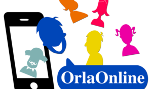 OrlaOnline permite crear una orla y recibirla en casa en 48 horas - Diario de Emprendedores