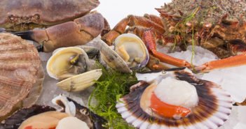 Mariscos OGrove acelera sus planes de expansión por la consolidación del ecommerce gourmet durante la pandemia