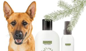 Kamouflage, una marca de cosmética para perros con aromas naturales - Diario de Emprendedores