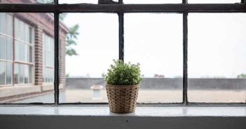 8 razones para calentar el hogar con estufas de pellets 8 razones para calentar el hogar con estufas de pellets - Diario de Emprendedores