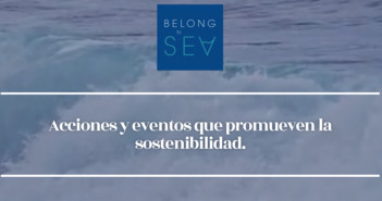 Belong to sea, una startup que organiza eventos para promover la sostenibilidad. - Diario de Emprendedores