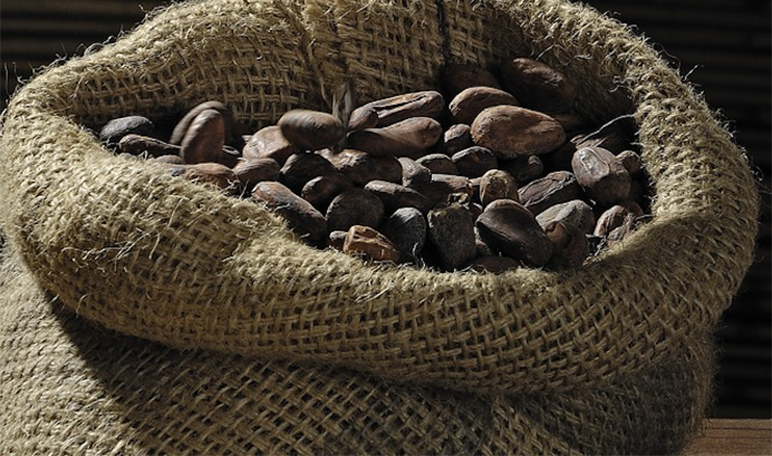 Paccari, un chocolate orgánico con presencia en más de 40 mercados - Diario de Emprendedores